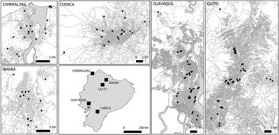 Pharmaceutical compounds in urban drinking waters of Ecuador